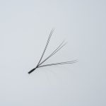 W Shape Clover Eyelash Extensions - Image 2