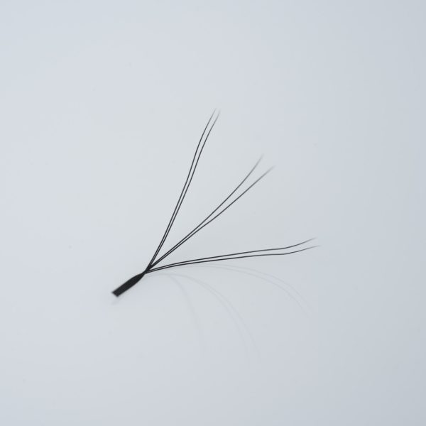 W Shape Clover Eyelash Extensions - Image 2