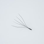 5D W-Shape Clover Eyelash Extensions - Image 2