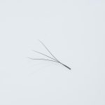 3D W-Shape Clover Eyelash Extensions - Image 2