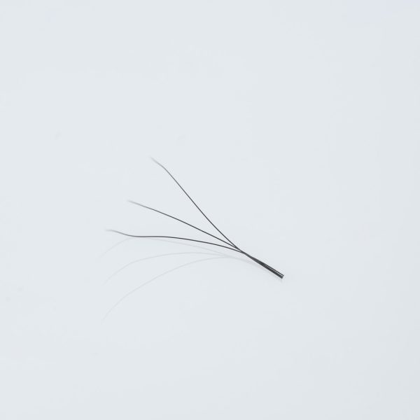3D W-Shape Clover Eyelash Extensions - Image 2