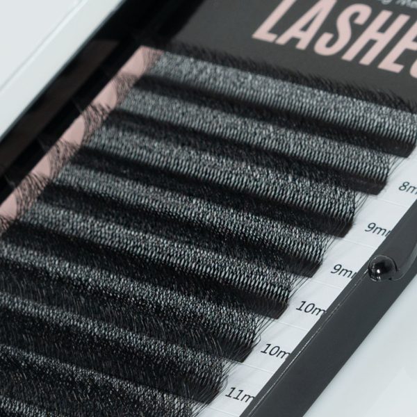 6D W-Shape Clover Eyelash Extensions - Image 3