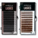 Κασετίνες βλεφαρίδων Addictive Lashes σε μαύρο (Premade 5D) και καφέ χρώμα (Brown Mix) από την Addictive Lashes.