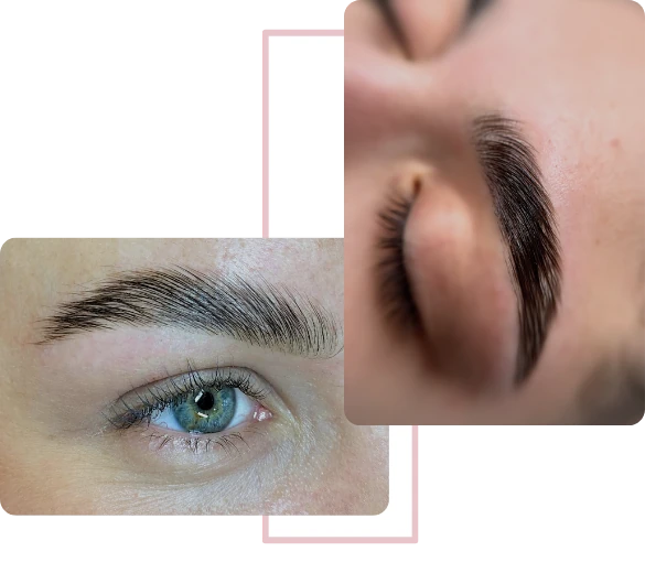 Κολάζ με αποτελέσματα από την τεχνική Brow Lamination. Κοντινές λήψεις (close-ups) που δείχνουν τέλεια σχηματισμένα, ανορθωμένα και γεμάτα φρύδια, αποδεικνύοντας την επαγγελματική τεχνική styling και βαφής που διδάσκεται στα σεμινάρια της Addictive Lashes.